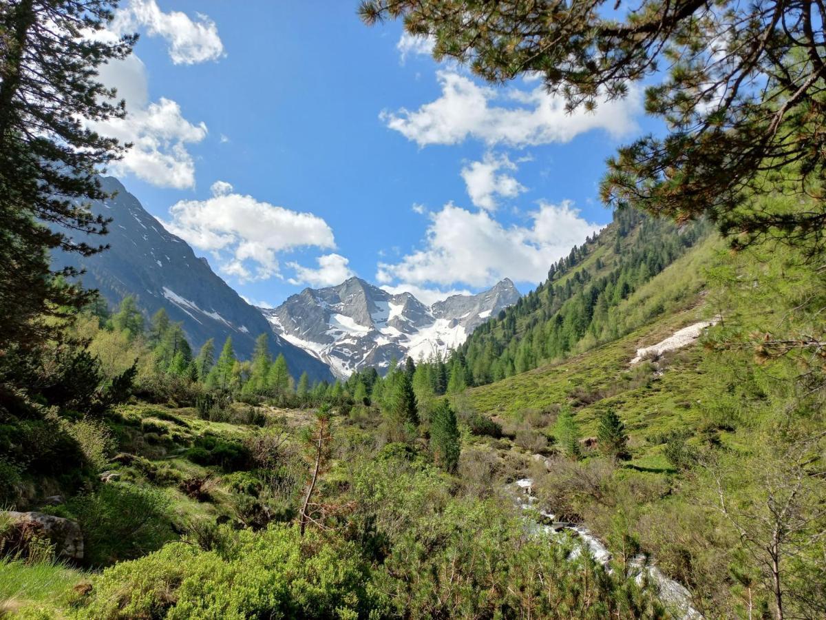 Appartement Summerer Peter Mayrhofen Bagian luar foto